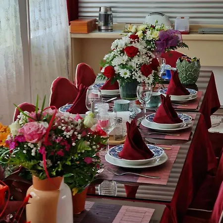 ホステル North Star Ilomantsi